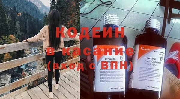 ГАЛЛЮЦИНОГЕННЫЕ ГРИБЫ Михайлов