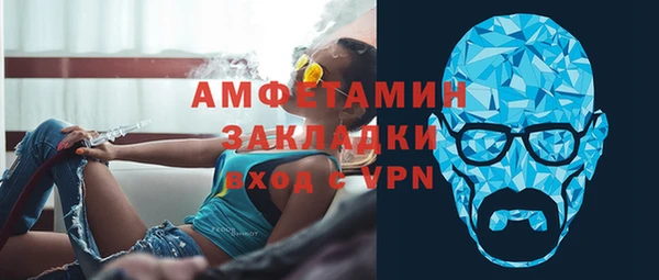 ГАЛЛЮЦИНОГЕННЫЕ ГРИБЫ Михайлов