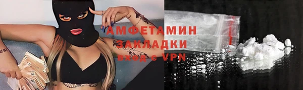 ГАЛЛЮЦИНОГЕННЫЕ ГРИБЫ Михайлов