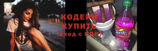 ГАЛЛЮЦИНОГЕННЫЕ ГРИБЫ Михайлов