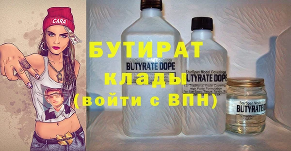 ГАЛЛЮЦИНОГЕННЫЕ ГРИБЫ Михайлов