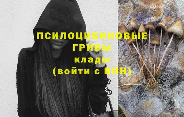 ГАЛЛЮЦИНОГЕННЫЕ ГРИБЫ Михайлов